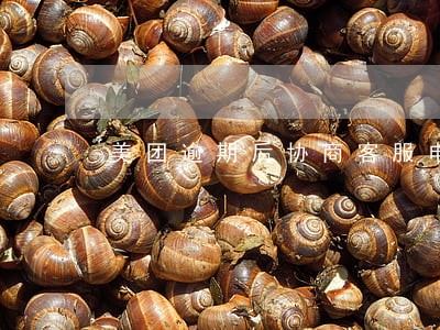 美团逾期后协商客服电话 美团逾期后协商客服电话
