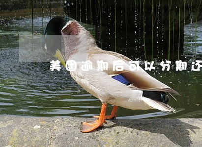 美团逾期后可以分期还款么