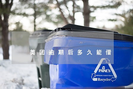 美团逾期后多久能借