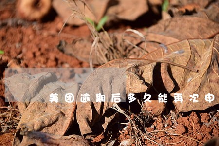 美团逾期后多久能再次申请