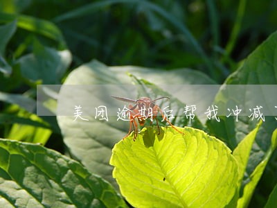 美团逾期后帮我冲减了一期账单