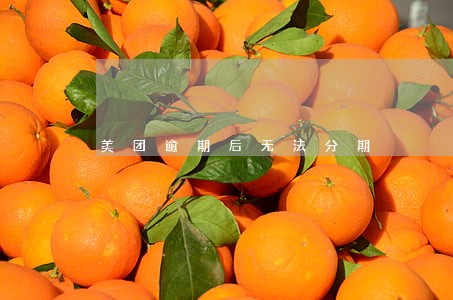 美团逾期后无法分期 美团逾期后无法分期