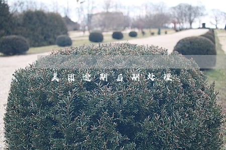 美团逾期后期处理 美团逾期后期处理