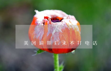美团逾期后来不打电话 美团逾期后来不打电话