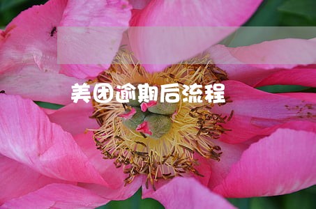 美团逾期后流程 美团逾期后流程