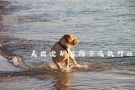 美团逾期后线下还款对公账户 美团逾期后线下还款对公账户