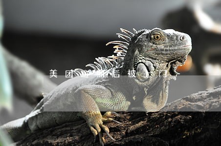美团逾期后被上门 美团逾期后被上门