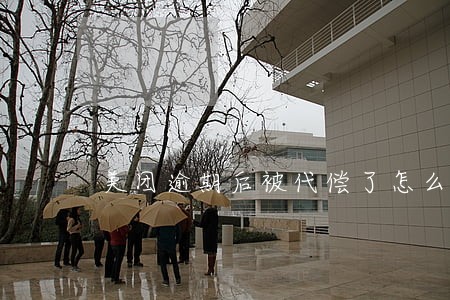 美团逾期后被代偿了怎么解决