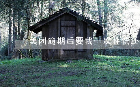 美团逾期后要我一次性偿还