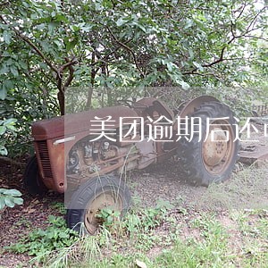 美团逾期后还可以再借吗 美团逾期后还可以再借吗