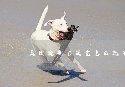 美团逾期后还完怎么就不能借钱了 美团逾期后还完怎么就不能借钱了