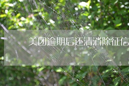 美团逾期后还清消除征信 美团逾期后还清消除征信