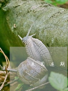 美团逾期后还能借款吗 美团逾期后还能借款吗