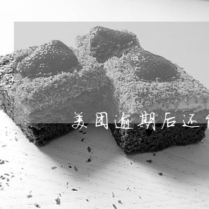 美团逾期后还能借钱吗 美团逾期后还能借钱吗