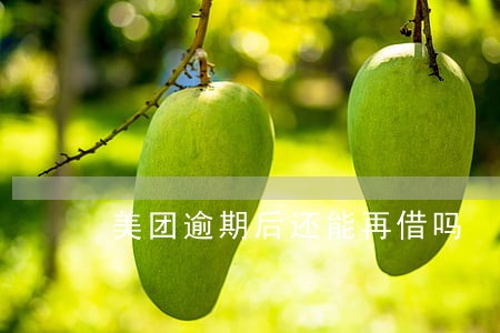 美团逾期后还能再借吗 美团逾期后还能再借吗