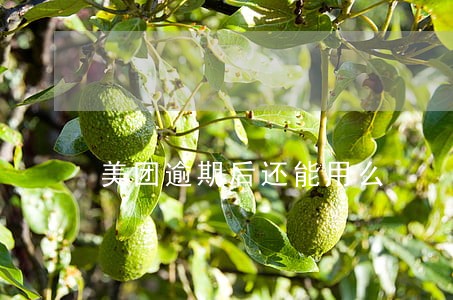 美团逾期后还能用么 美团逾期后还能用么
