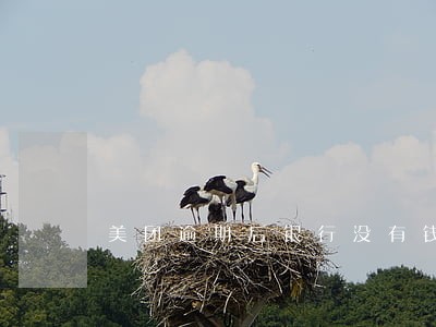 美团逾期后银行没有钱可以扣款吗 美团逾期后银行没有钱可以扣款吗