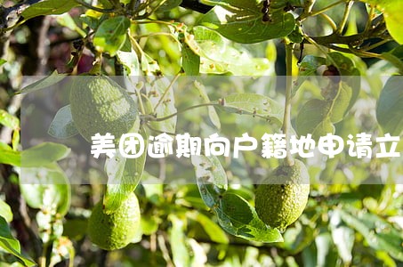美团逾期向户籍地申请立案 美团逾期向户籍地申请立案