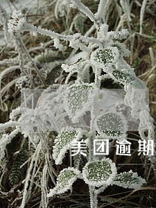 美团逾期哪里给打电话 美团逾期哪里给打电话