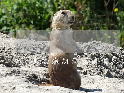 美团逾期商家看得到吗 美团逾期商家看得到吗