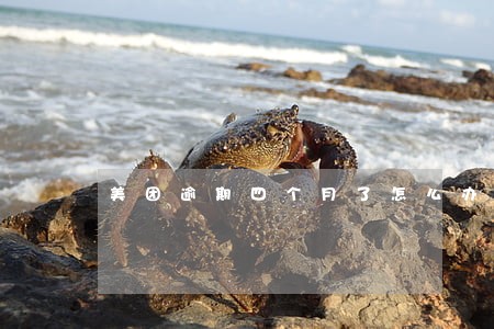 美团逾期四个月了怎么办