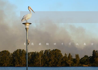 美团逾期四千可以再分期吗