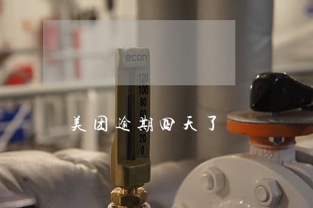 美团逾期四天了