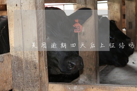 美团逾期四天后上征信吗