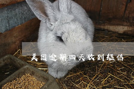 美团逾期四天收到短信 美团逾期四天收到短信