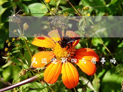 美团逾期四天有事吗