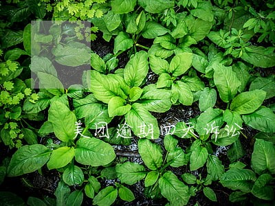 美团逾期四天诉讼 美团逾期四天诉讼