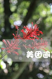 美团逾期四天还上还能借吗