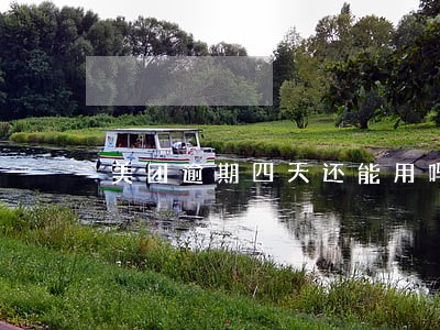 美团逾期四天还能用吗