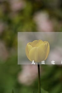 美团逾期回派人过来调查吗 美团逾期回派人过来调查吗