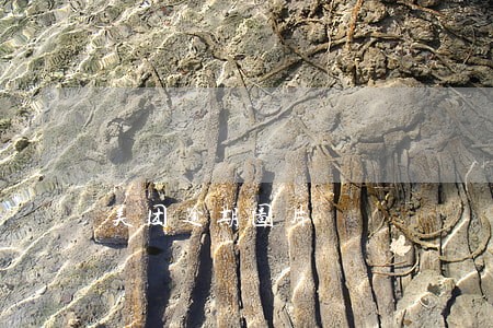 美团逾期图片 美团逾期图片