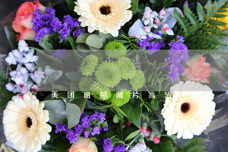 美团逾期图片高清 美团逾期图片高清