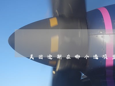 美团逾期在哪个选项里