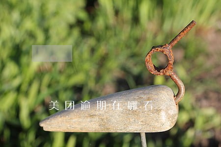 美团逾期在哪看 美团逾期在哪看