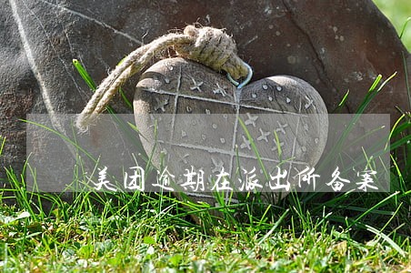 美团逾期在派出所备案 美团逾期在派出所备案
