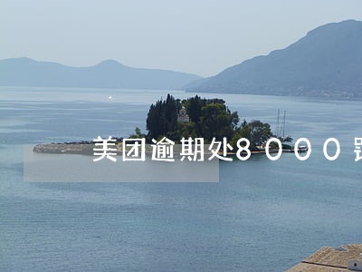 美团逾期处8000罚金合理吗 美团逾期处8000罚金合理吗