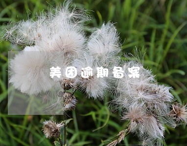 美团逾期备案 美团逾期备案