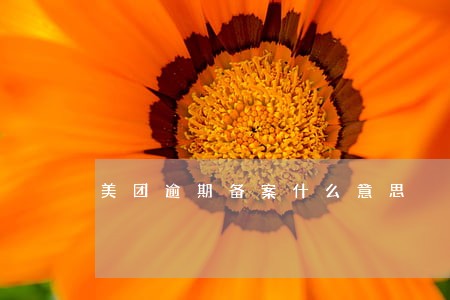 美团逾期备案什么意思 美团逾期备案什么意思