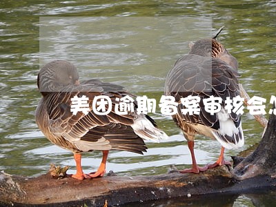 美团逾期备案审核会怎么样 美团逾期备案审核会怎么样
