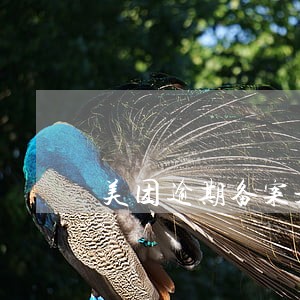美团逾期备案是真的吗 美团逾期备案是真的吗