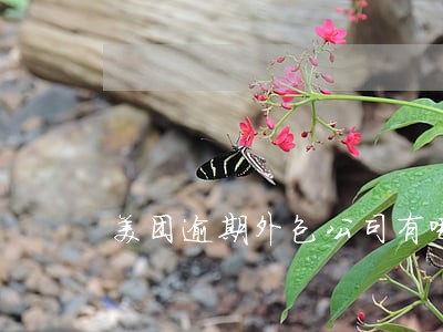 美团逾期外包公司有哪些 美团逾期外包公司有哪些