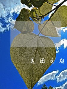 美团逾期外地号打电话说是上门了 美团逾期外地号打电话说是上门了