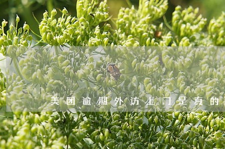 美团逾期外访上门是真的吗 美团逾期外访上门是真的吗