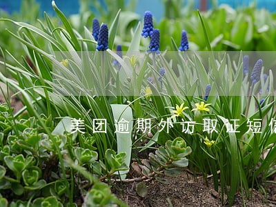美团逾期外访取证短信 美团逾期外访取证短信