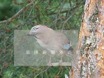 美团逾期外访组上门