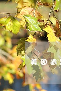 美团逾期多久上征信后果有多严重 美团逾期多久上征信后果有多严重